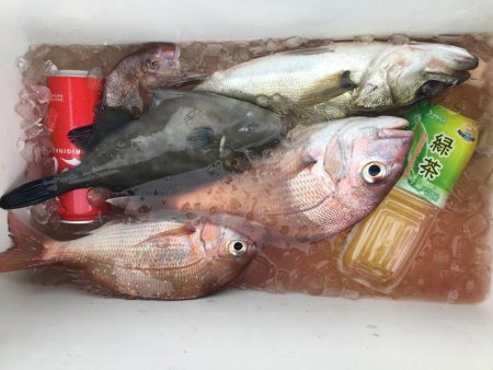 たかたかの釣り日記