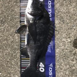 イチノ兄弟、釣果!