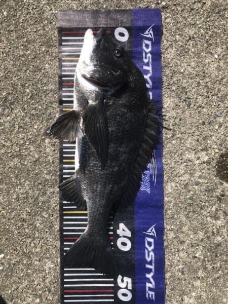 イチノ兄弟、釣果!