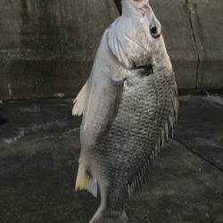 久しぶりの沖堤で遊んできました