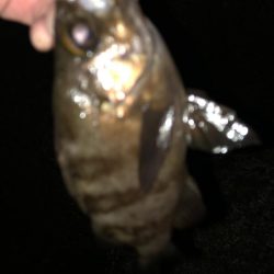 ちょっとのつもりが