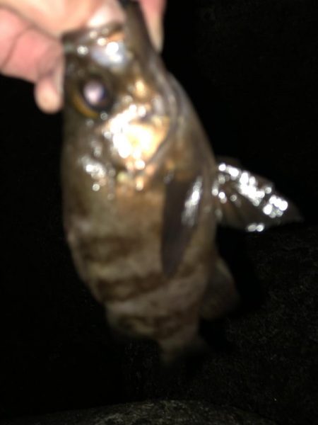 ちょっとのつもりが