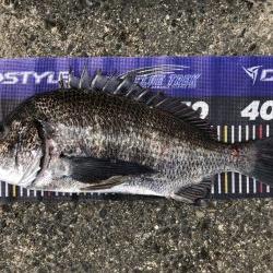 イチノ兄弟、釣果!