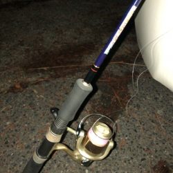 深日漁港DEボトムチョンチョン