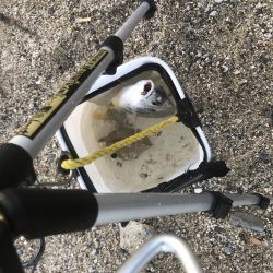 サイズダウン/数アップ