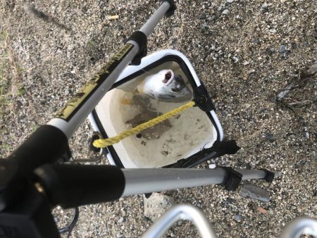 サイズダウン/数アップ