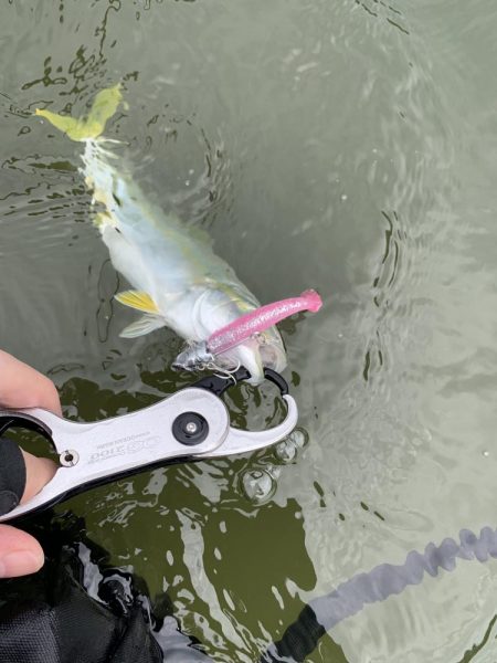 ウェーディングでツバス