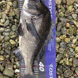 イチノ兄弟、釣果!