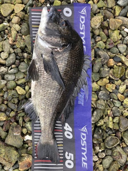 イチノ兄弟、釣果！