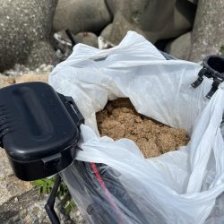 フカセリベンジ