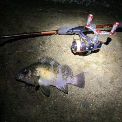 爆風メバリング