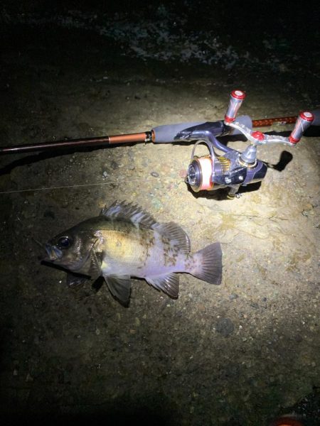 爆風メバリング