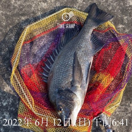 岸和田ヘチ釣り