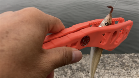 名古屋港でキス釣り