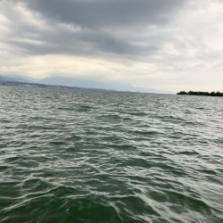 アフタースポーン