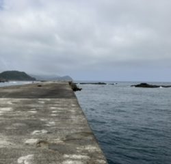 沖一文字でカゴ釣り