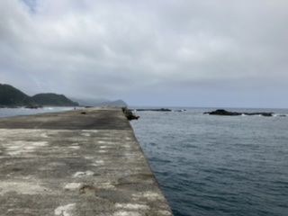 沖一文字でカゴ釣り