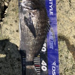 イチノ兄弟、釣果！