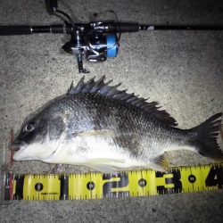 マイクロバチパターン?