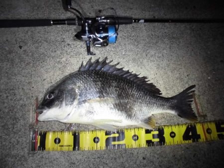 マイクロバチパターン?