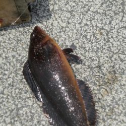 久しぶりの餌釣り