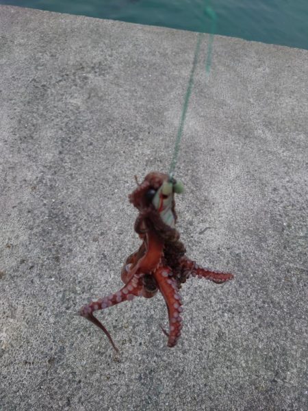 オクトパッシング