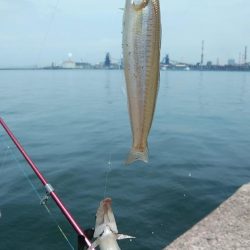 今シーズン最高の暑さでした