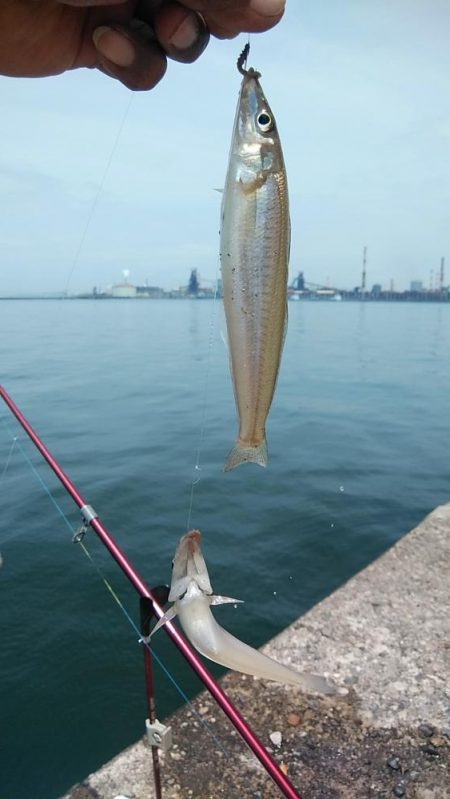 今シーズン最高の暑さでした