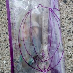 秋イカサイズゲット