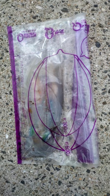 秋イカサイズゲット