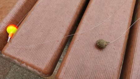 有馬ます池でその日最大サイズゲット!