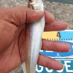 活性が一気に下がりました