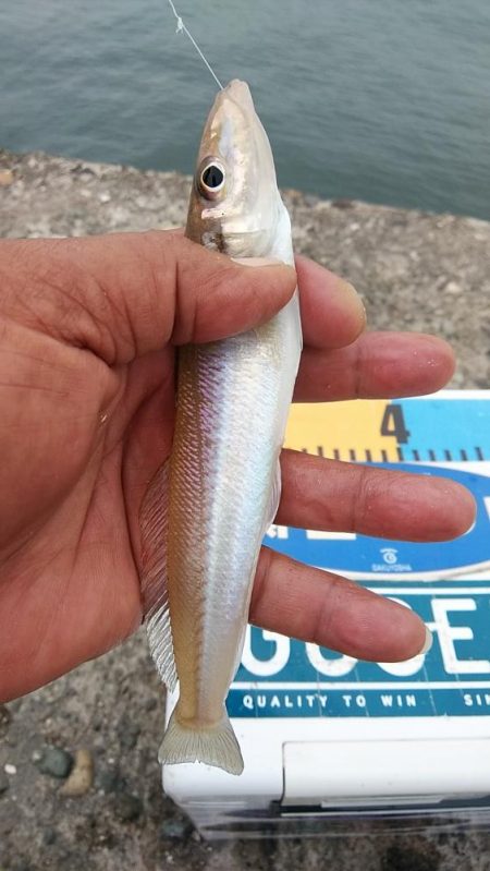 活性が一気に下がりました