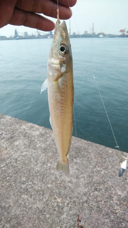 播磨新島５連投