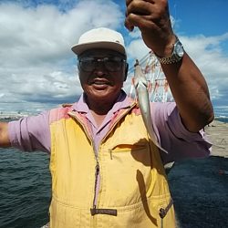 今シーズン１９回目の播磨新島釣行