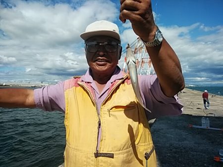 今シーズン１９回目の播磨新島釣行