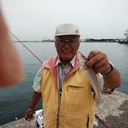 良型キスが釣れf始めました