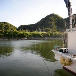 オーシャンウィル「イカ釣行」