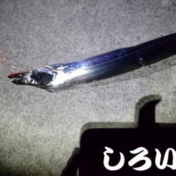 ドラゴン狙いでチャレンジ遠征。