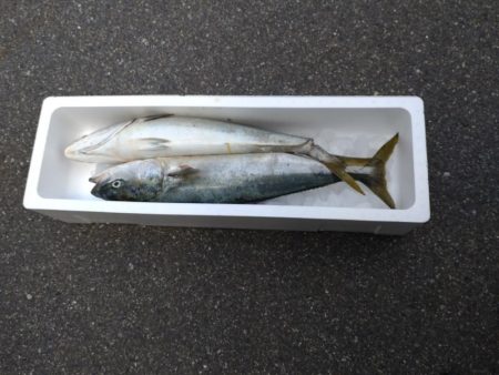 今年初のショアジギング！