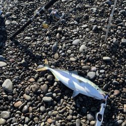 煙樹ヶ浜のショアジギ