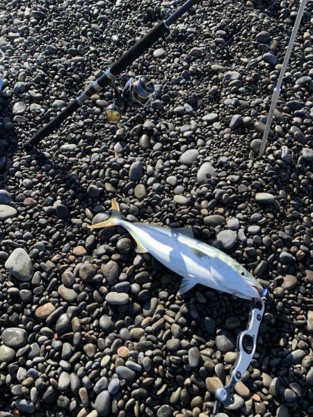 煙樹ヶ浜のショアジギ