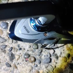 シーバス45cm  なんとか1本