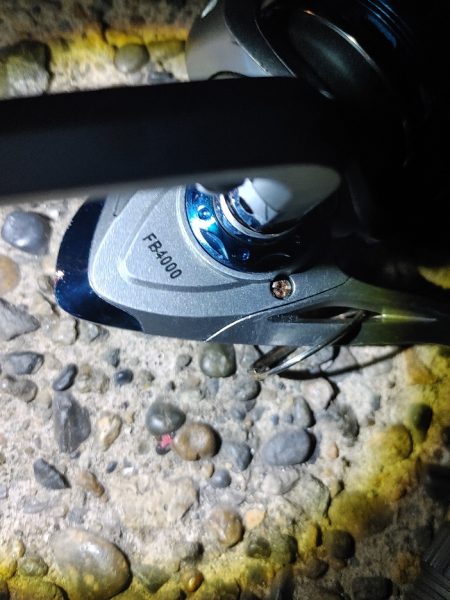 シーバス45cm  なんとか1本