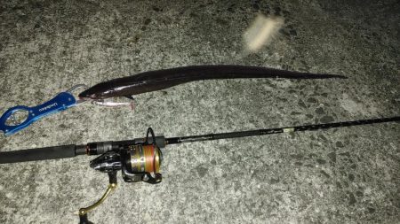 鰻釣れた!!　ホントは引っ掛かった(苦笑)