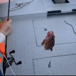 白鶴丸でガシラ釣り