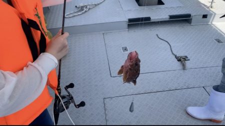 白鶴丸でガシラ釣り