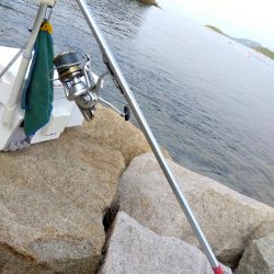 室津のキス釣り