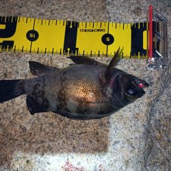 林崎漁港から移動してみました♪