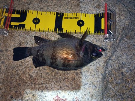 林崎漁港から移動してみました♪